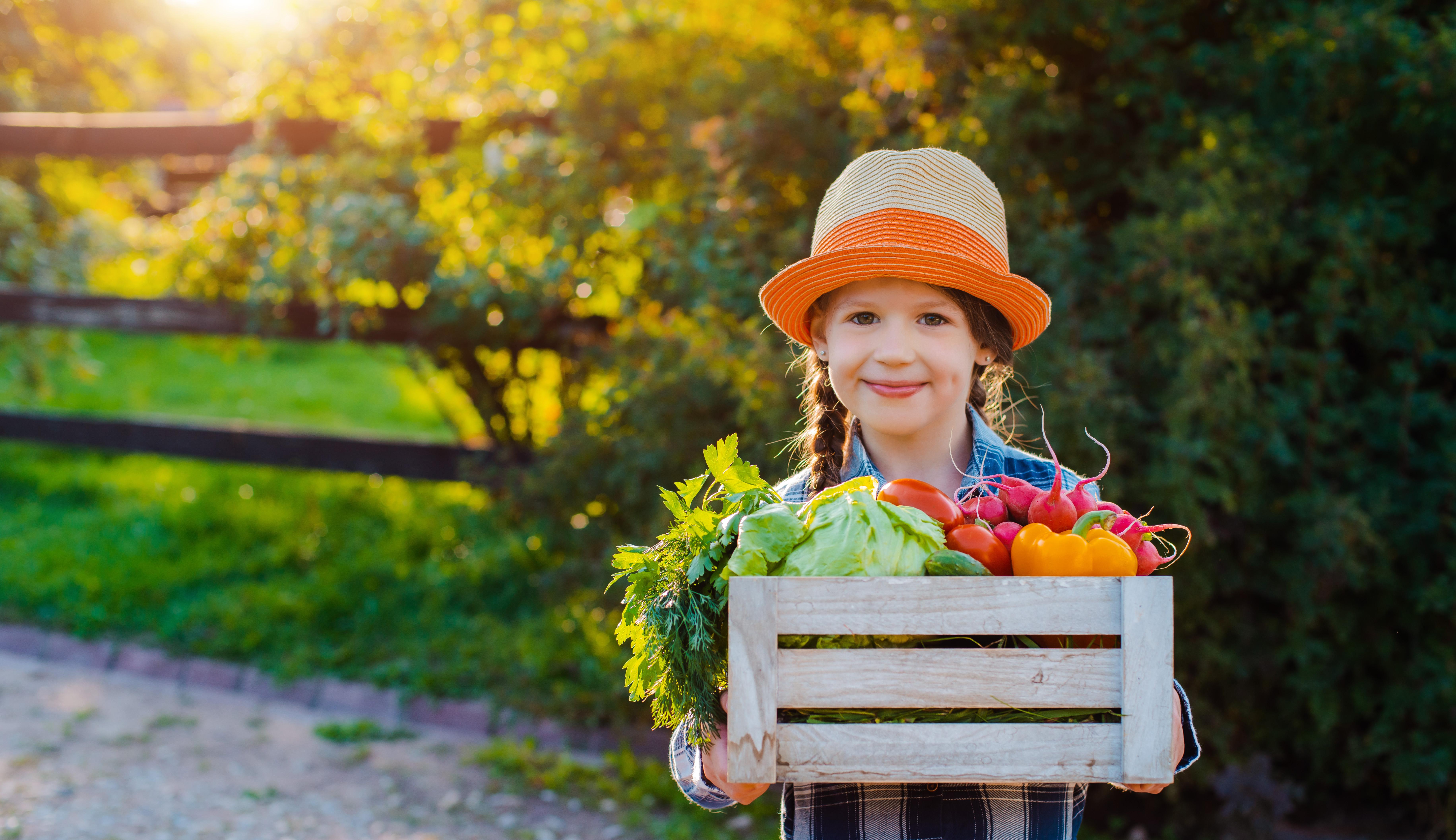 Minos Imperial Luxury Beach Resort & Spa Milatos Exterior photo A child with a crate of vegetables